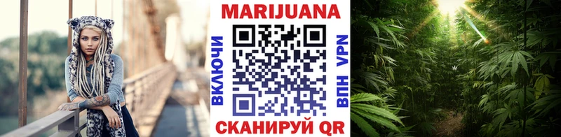 Где можно купить наркотики Динская СК  БУТИРАТ  Псилоцибиновые грибы  COCAIN  Гашиш 