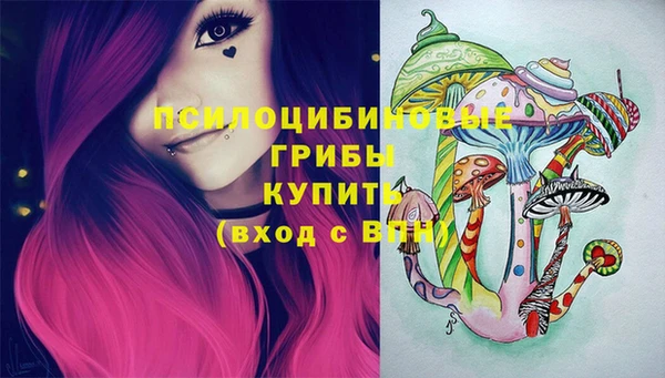 дмт Алзамай