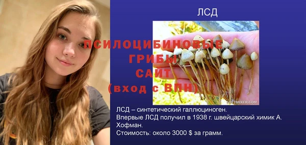соль ск Алексин