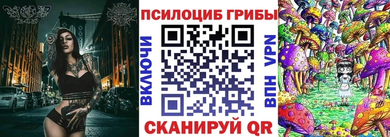 купить закладку  Динская  Галлюциногенные грибы мицелий 